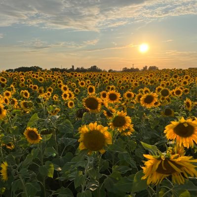 MartinsFlaksis's profile picture. Zāle, velo u.t.t.