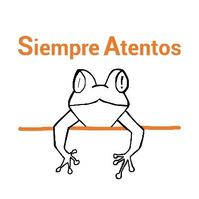 Disciplina positiva.
Educación emocional.
Cuentoterapia.
Formación y asesoramiento a docentes, familia y educadores.
Instagram: siempre_atentos