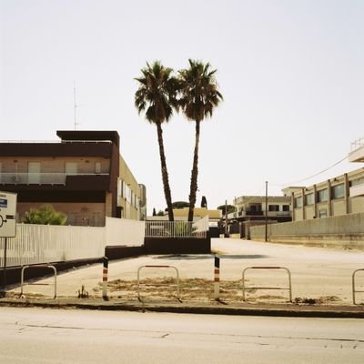 catalogico's profile picture. Dovevo morire prima di nascere. Ed eccomi qui.