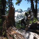 Bryan Albright - @myboyblue76 - Twitter