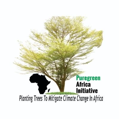 PuregreenA's profile picture. Puregreen Africa Initiative is a NGO that is planting trees to help mitigate the effects of climate change in Africa.