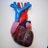 Anatomy@UofG