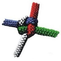 Philippe Brunof 🐞 (@zebulonite) 's Twitter Profile Photo