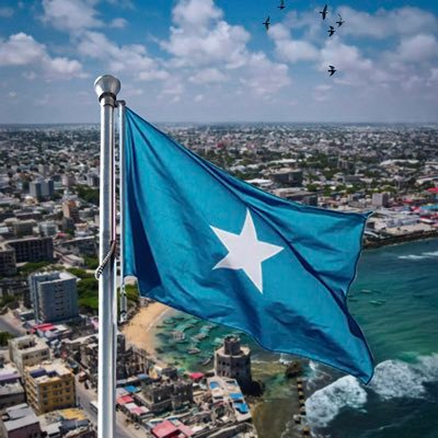 🇸🇴