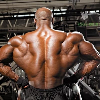 Most videos are related to Entertainment, workout motivation, re-action, and training Thanks for your support. YouTube: Songthee Loryongkhue
