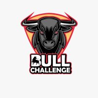 Bull Challenge(@bull_challenge) 's Twitter Profile Photo