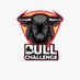bull_challenge