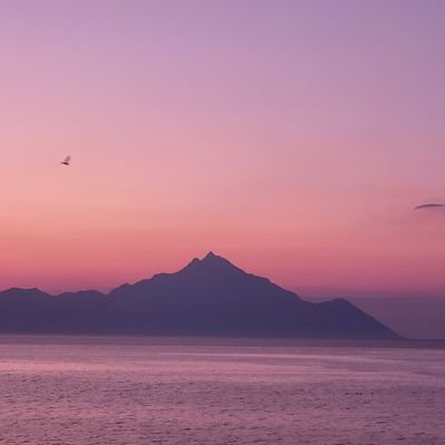 turmali80576484's profile picture. 