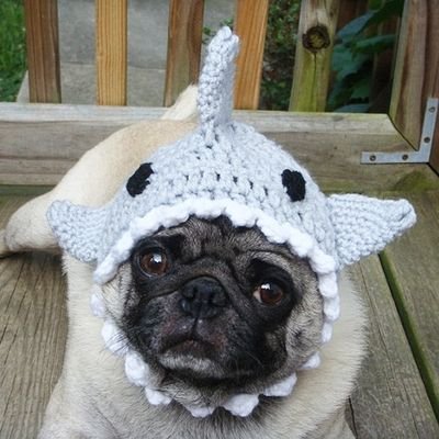 puggowholetime's profile picture. sci fi anthology @igaysians 🛸