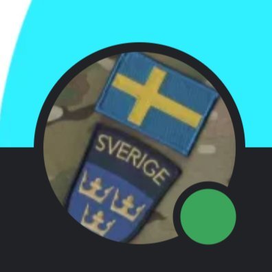 swedishmogul Profile Picture