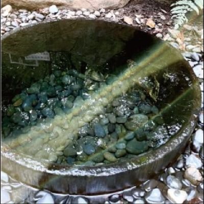 vrMEDK5WL4GHRvm's profile picture. 