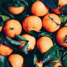 MR07638809's profile picture. 