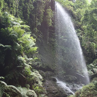 Modelo productivo, transición ecológica y derechos energéticos. Con perspectiva archipielágica. Responsable de Organización y Confederalidad @drago_canarias