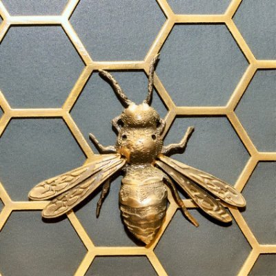 analyticreative's profile picture. Deconstructing how to cross-pollinate your right & left brain to unlock your power | Pharmacist 💊 Renaissance Woman⚜️| Host The Analytical Creative Podcast 🎙