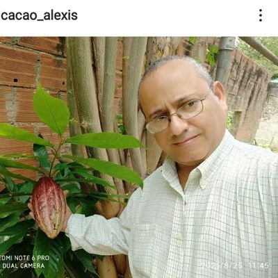 #CacaoAlexis 
#Cacao
#cafe
Exportamos
Cacao f.1 / f.2 Manteca Polvo y Licor
de Cacao. También Café Verde 
WhatsApp+0584123632219
En facebook Instagram kwai