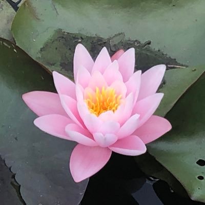 Marcinh62605930's profile picture. 