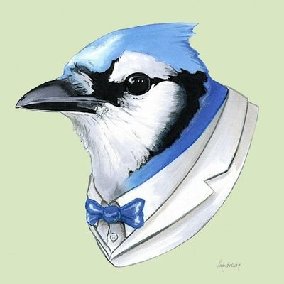 YoungBlueJay