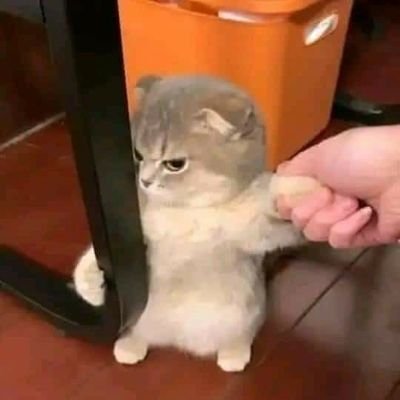 RaSouza46691474's profile picture. 