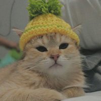 Micah (@micahscape) 's Twitter Profile