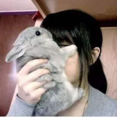 nosuincoさんのプロフィール画像