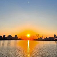 socialbutterflyッ (@ittyfly) 's Twitter Profile