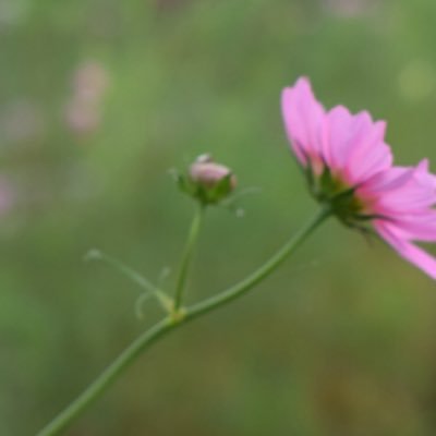 wjZk38dxlzzQA0P's profile picture. 