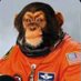 ScopesMonkey13 (@scopesmonkey13) Twitter profile photo