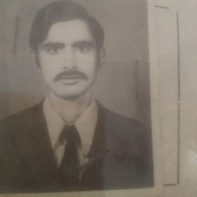 javaidarain12's profile picture. 