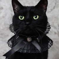 Black Kat(@BlackKatDraws) 's Twitter Profile Photo