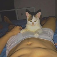 julius π (@juliusdv02) 's Twitter Profile