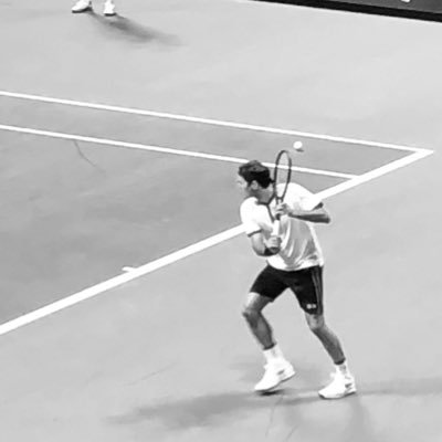 多趣味ツイで時々うるさいです/I love Roger Federer!!/スポーツ観戦・地学地理地図地形 ・江戸・時代劇・書籍・イギリス・ホームズ・クリスティ・ナウシカ・音楽すべてのジャンル・うさぎパンダ・バイオリンはグリュミオー