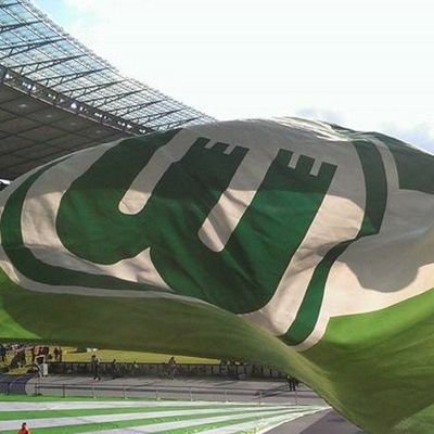 VfL Wolfsburg. Minnesota Vikings. Fußballschiedsrichter.