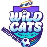 Merstham Wildcats (@mersthamwildcat) 's Twitter Profile