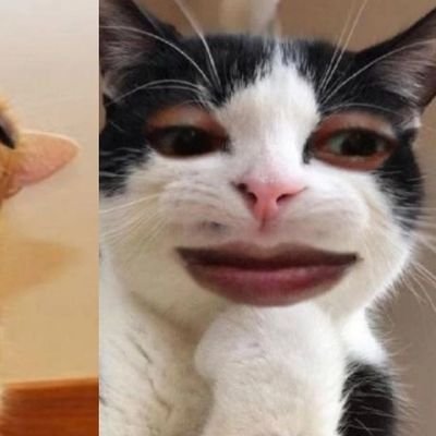 flymetodemun's profile picture. manusia kuat!!!