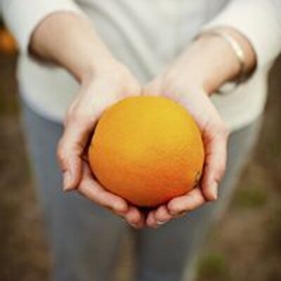 Navel Oranges – Schacht Groves