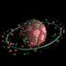 Vochoa88's profile picture. vendor on paxful: Toomuch00