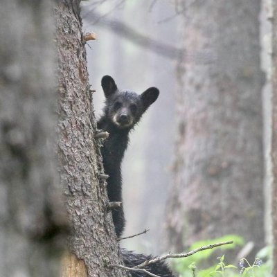 leedsbard's profile picture. Lover of Friday evenings and crisps.  Dislike Sunday evenings and eggs