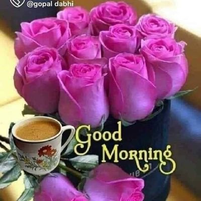 Chaudhary4Ray's profile picture. 