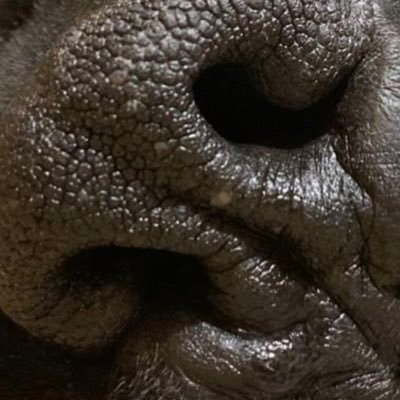 StasKovalenko13's profile picture. Go crypt