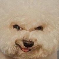 NyymiAI (@nyymiai) 's Twitter Profile