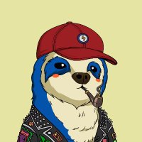 zkBradypod (@bradypod_nft) 's Twitter Profile
