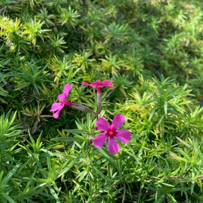 Ndgy612221's profile picture. 無言フォロー失礼致します🙇‍♀️