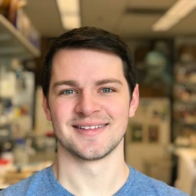 rafsa_rasa's profile picture. 