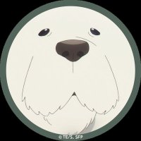 ぴーなつ🥜 (@r7ecv) 's Twitter Profile