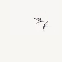 نور (@rhodiuuma) 's Twitter Profile Photo نور (@rhodiuuma) 's Twitter Profile Photo