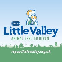 Little Valley Animal Shelter(@RSPCADevon) 's Twitter Profile Photo