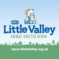 Little Valley Animal Shelter (@rspcadevon) 's Twitter Profile