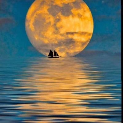 ade_jissy's profile picture. I am more than words can describe. Maybe a phenomenon