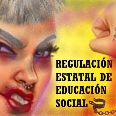 Regulación Estatal Educación Social (nueva cuenta)