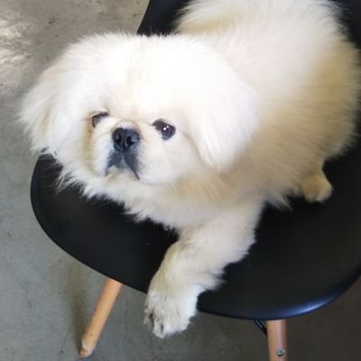 5uxiSLmsi63Sy7B's profile picture. いつの間にか三十路